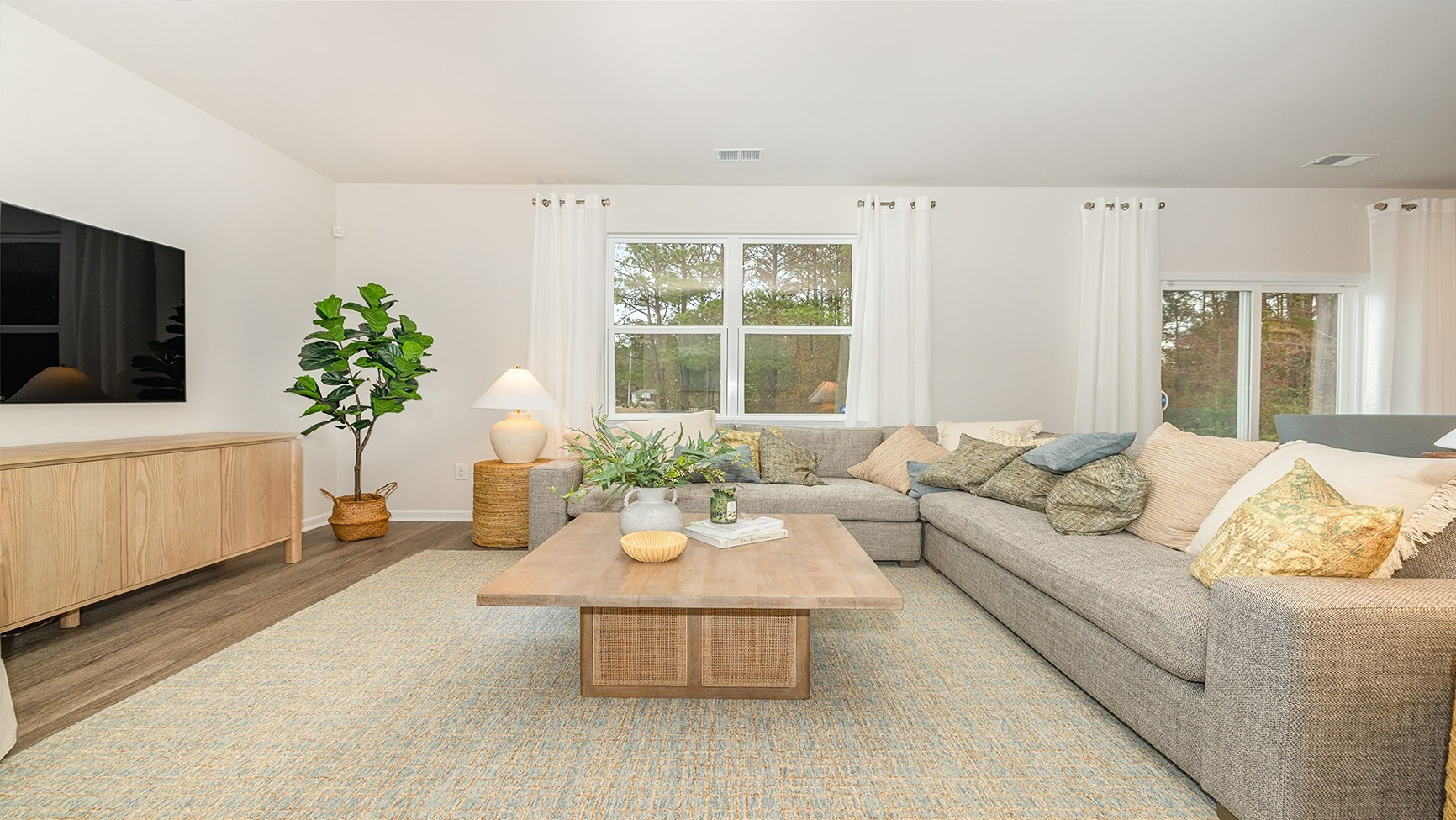 living room with ample lighting