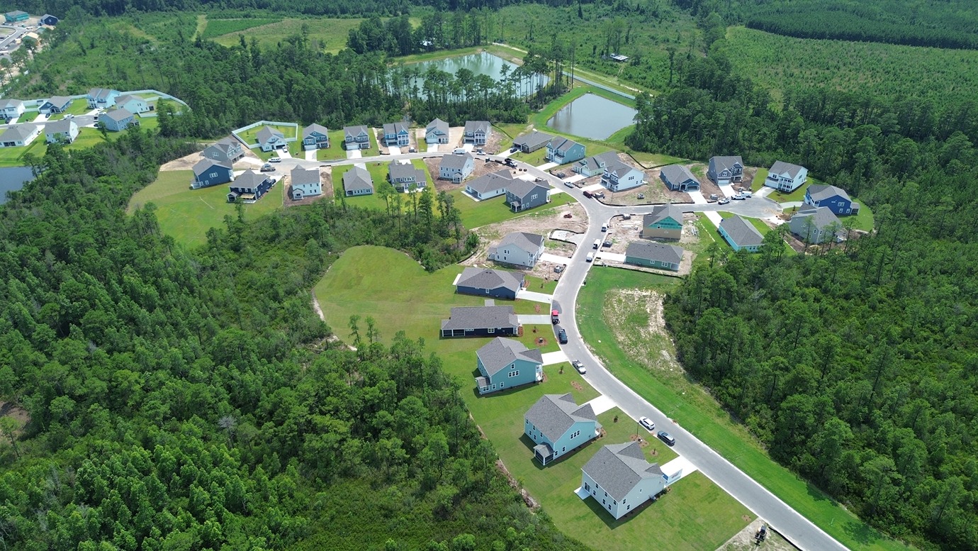 Auberon Woods Aerial
