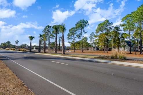 Carolina forest area things to do