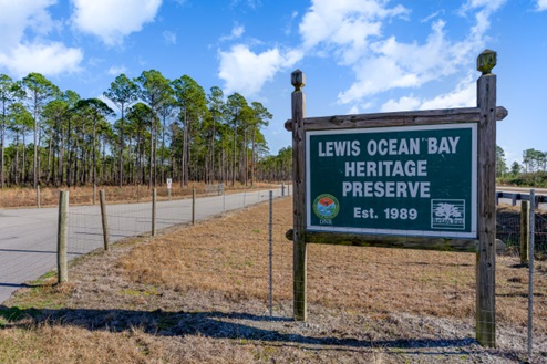 Carolina forest area things to do