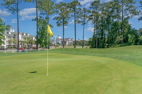 Carolina forest area things to do