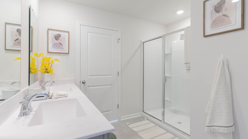 primary bathroom with walk in closet