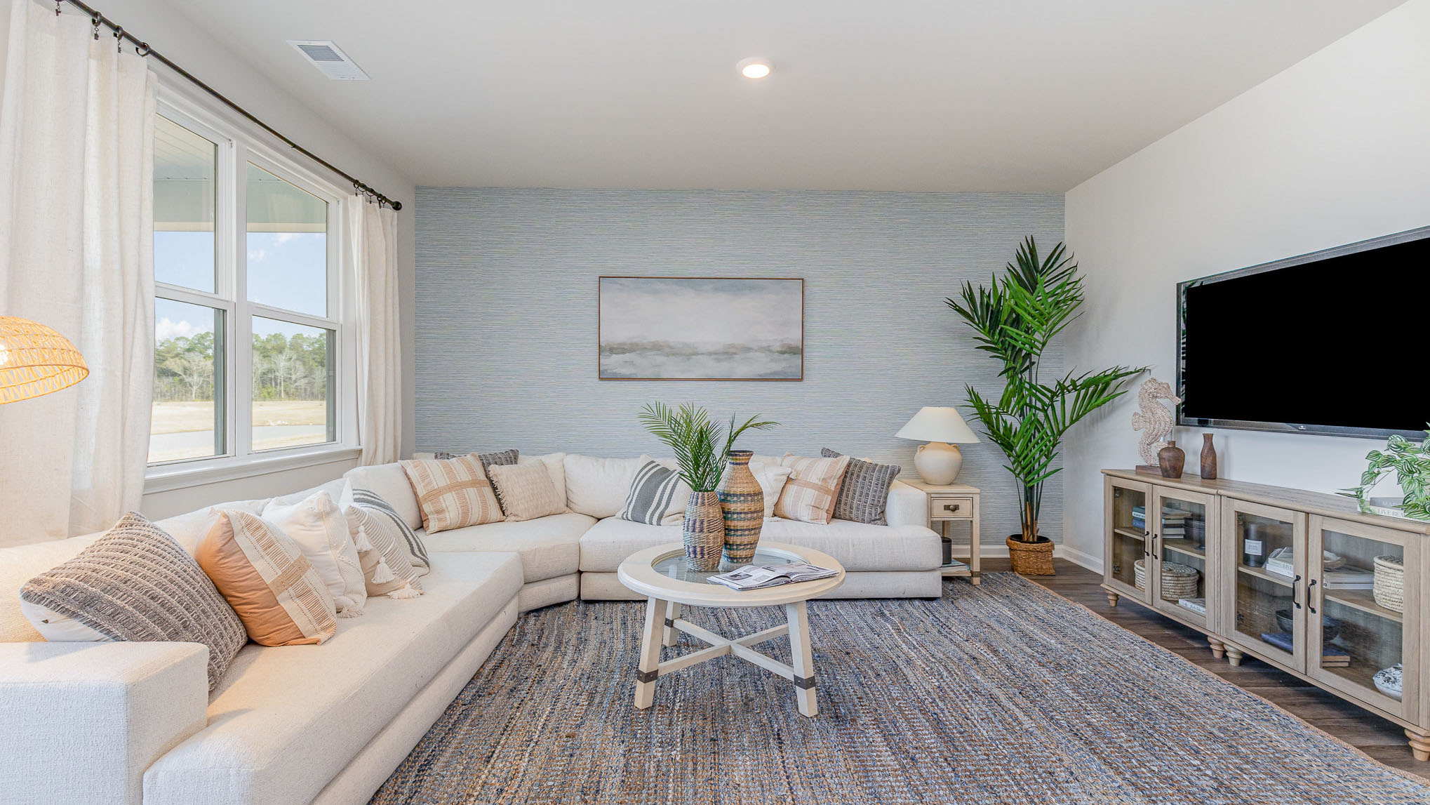 aria living room with tv