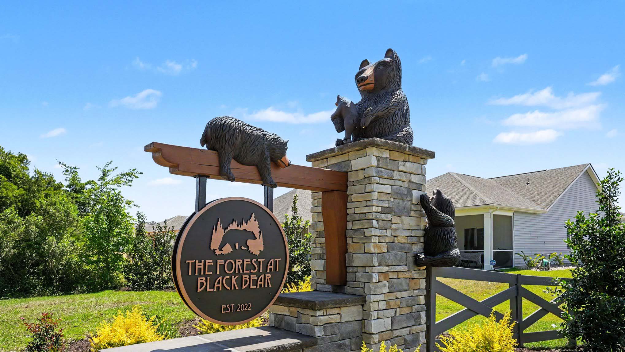 The Forest at Black Bear