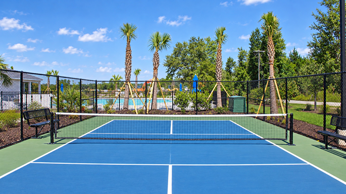 Pickleball Court