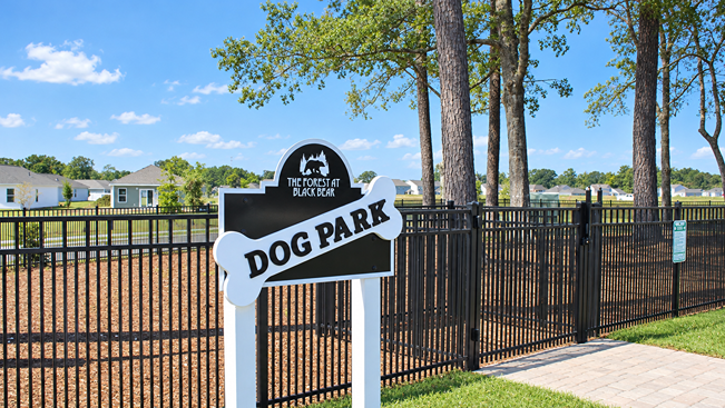 Dog Park