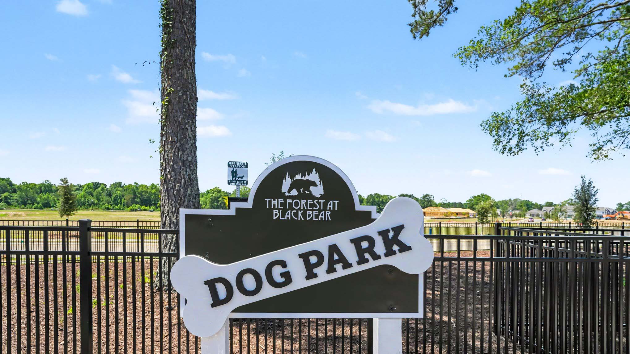 Dog Park