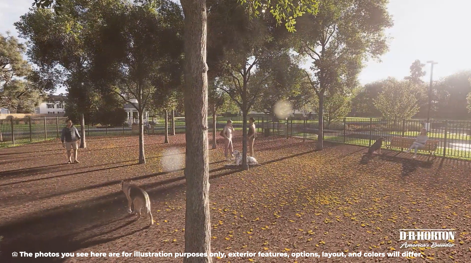 dog park rendering