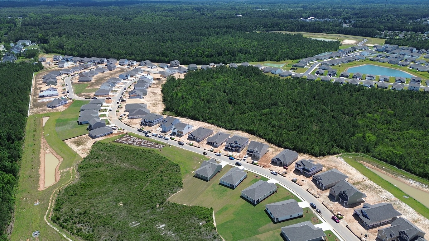 Aerial Of Community