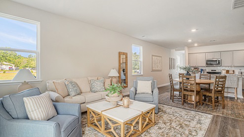 living room with ample lighting