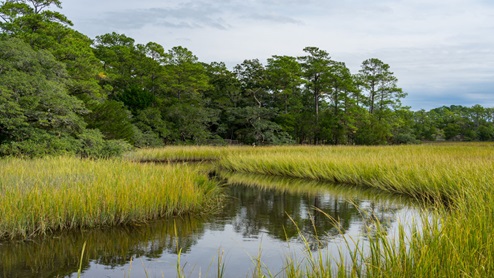 vereen gardens