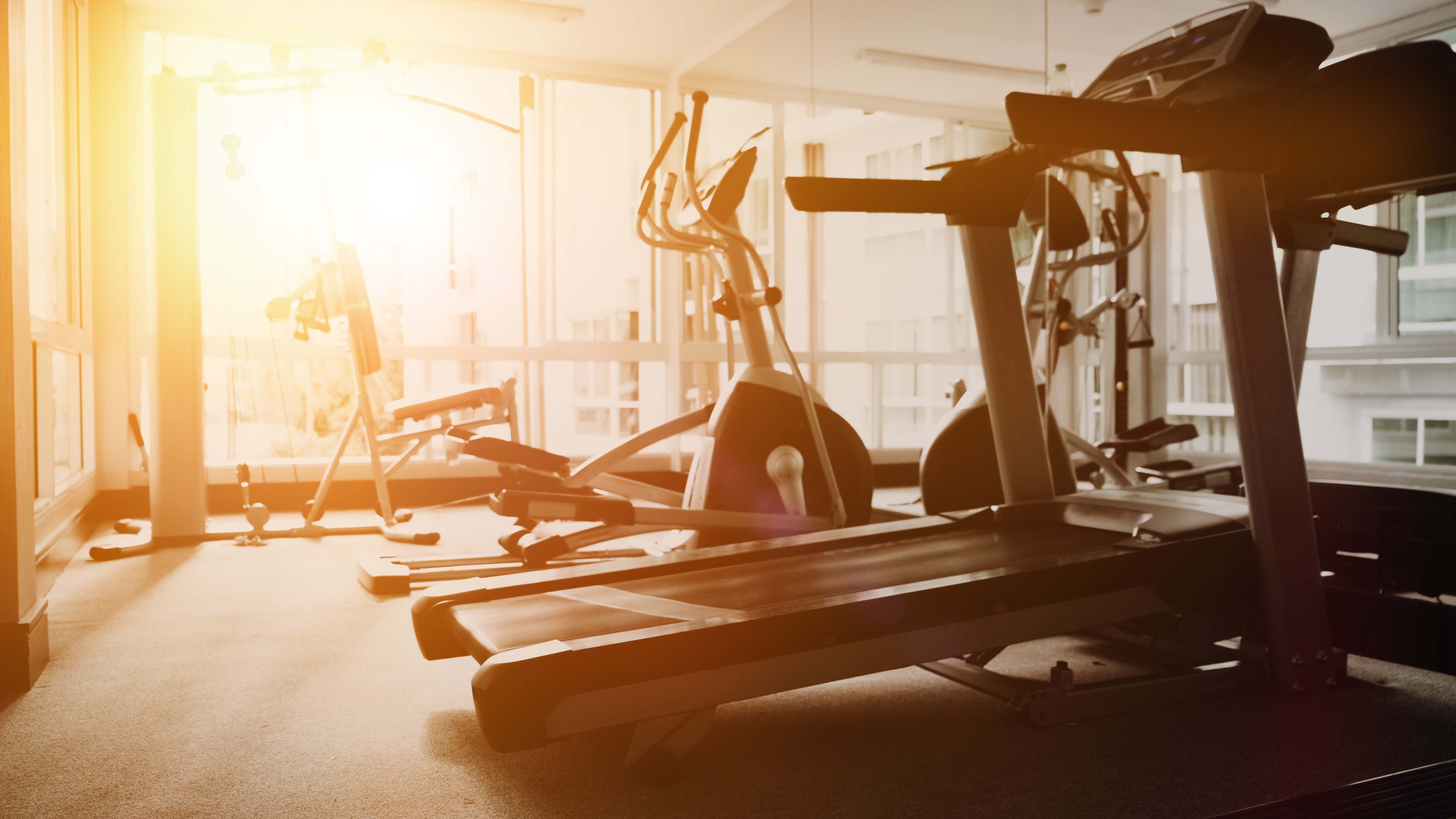 lifestyle of fitness room