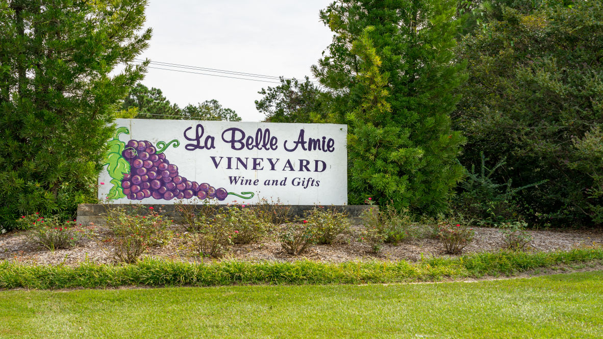 little river vinyard