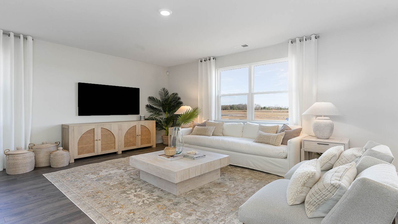 living space with tv