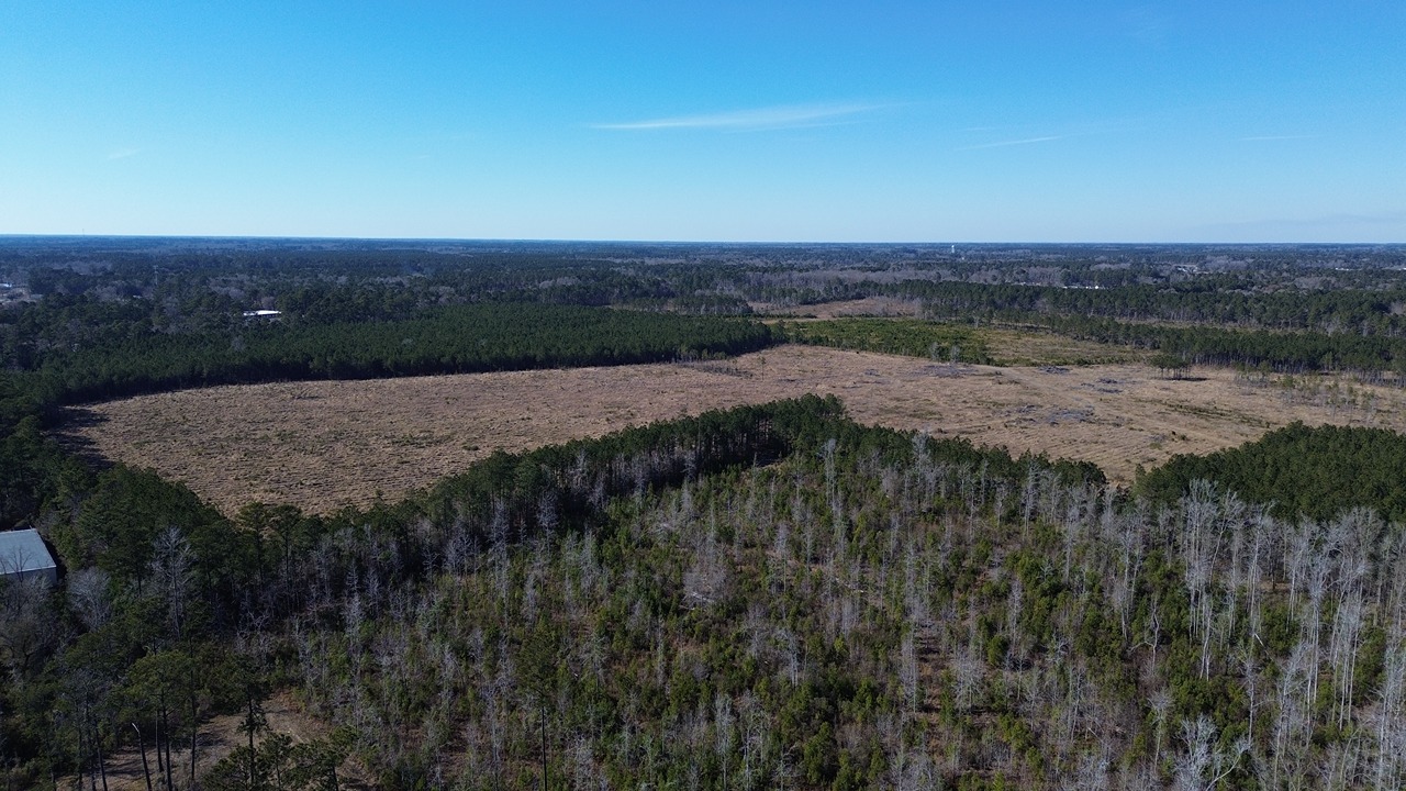 Aerial of Community