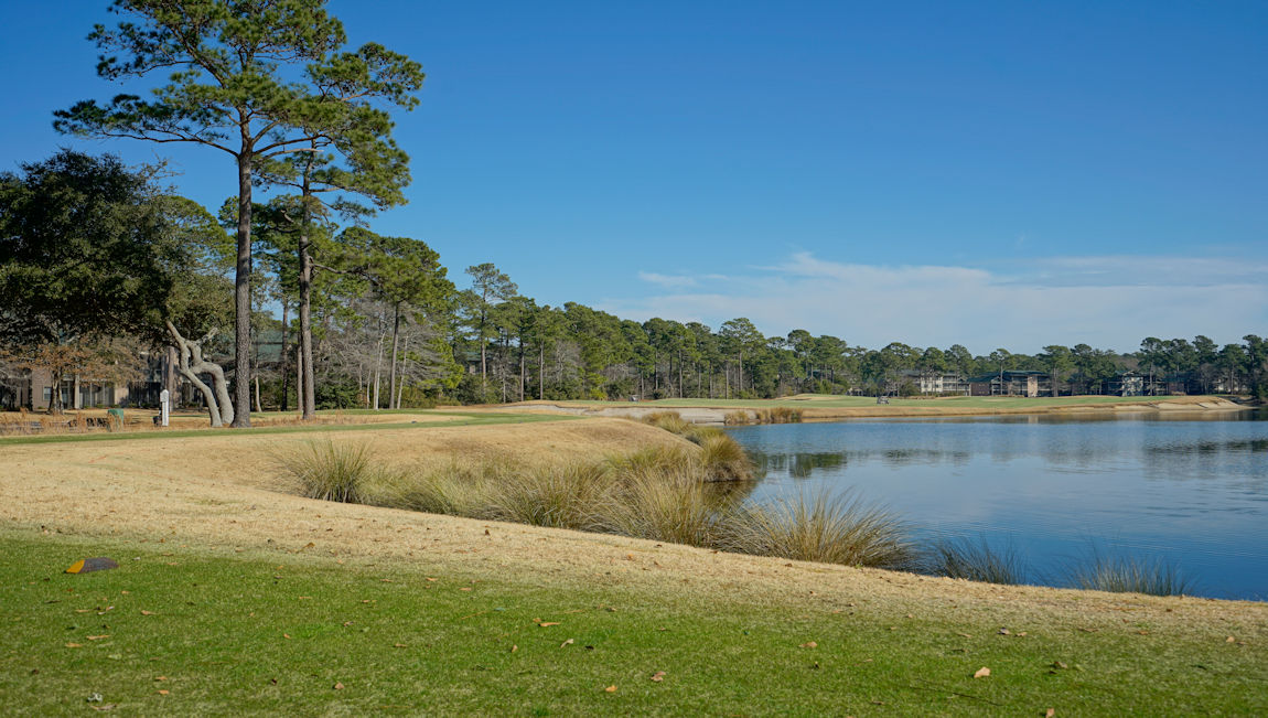 pawleys island area