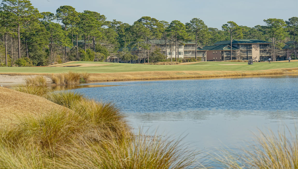 pawleys island area