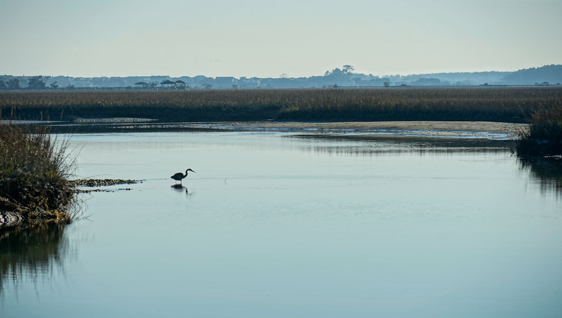 pawleys island area