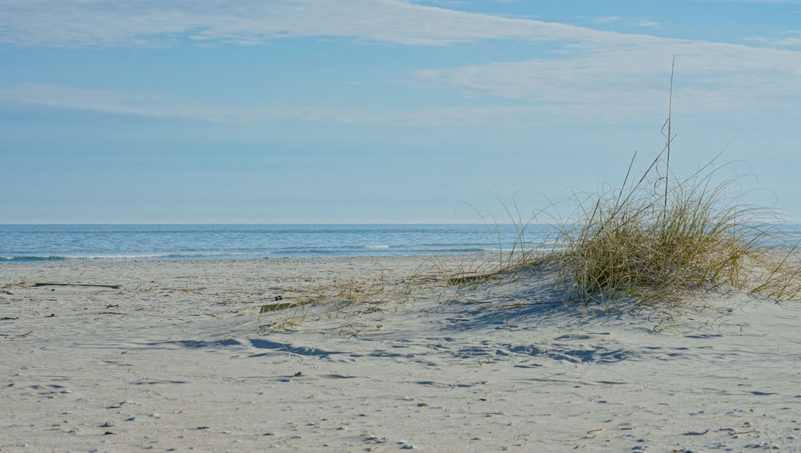 pawleys island area
