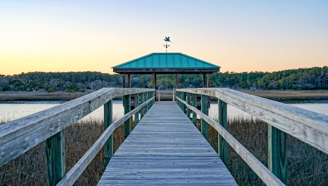 pawleys island area