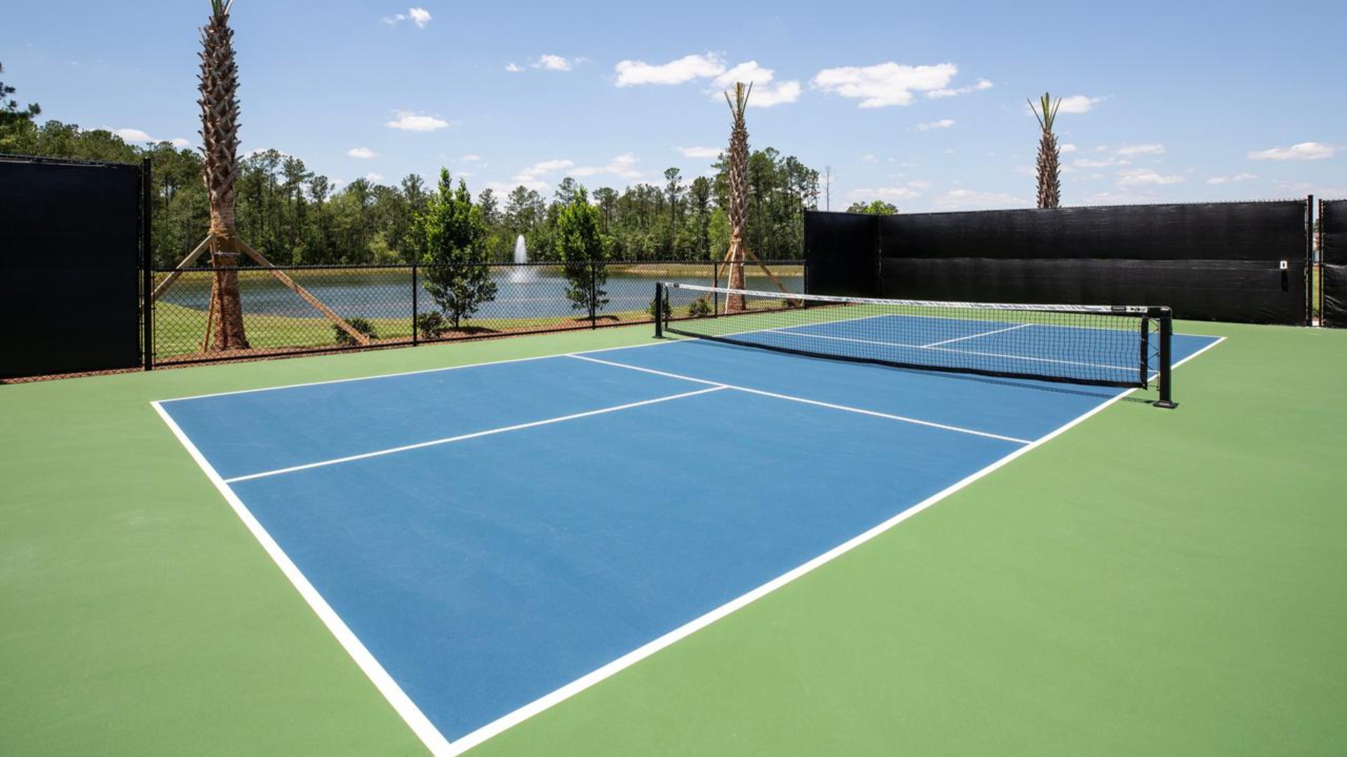 Homeowners will enjoy the future Amenity Center that will include a resort-style pool, clubhouse with kitchen, playground, pickleball courts, fire pit, and pocket park.