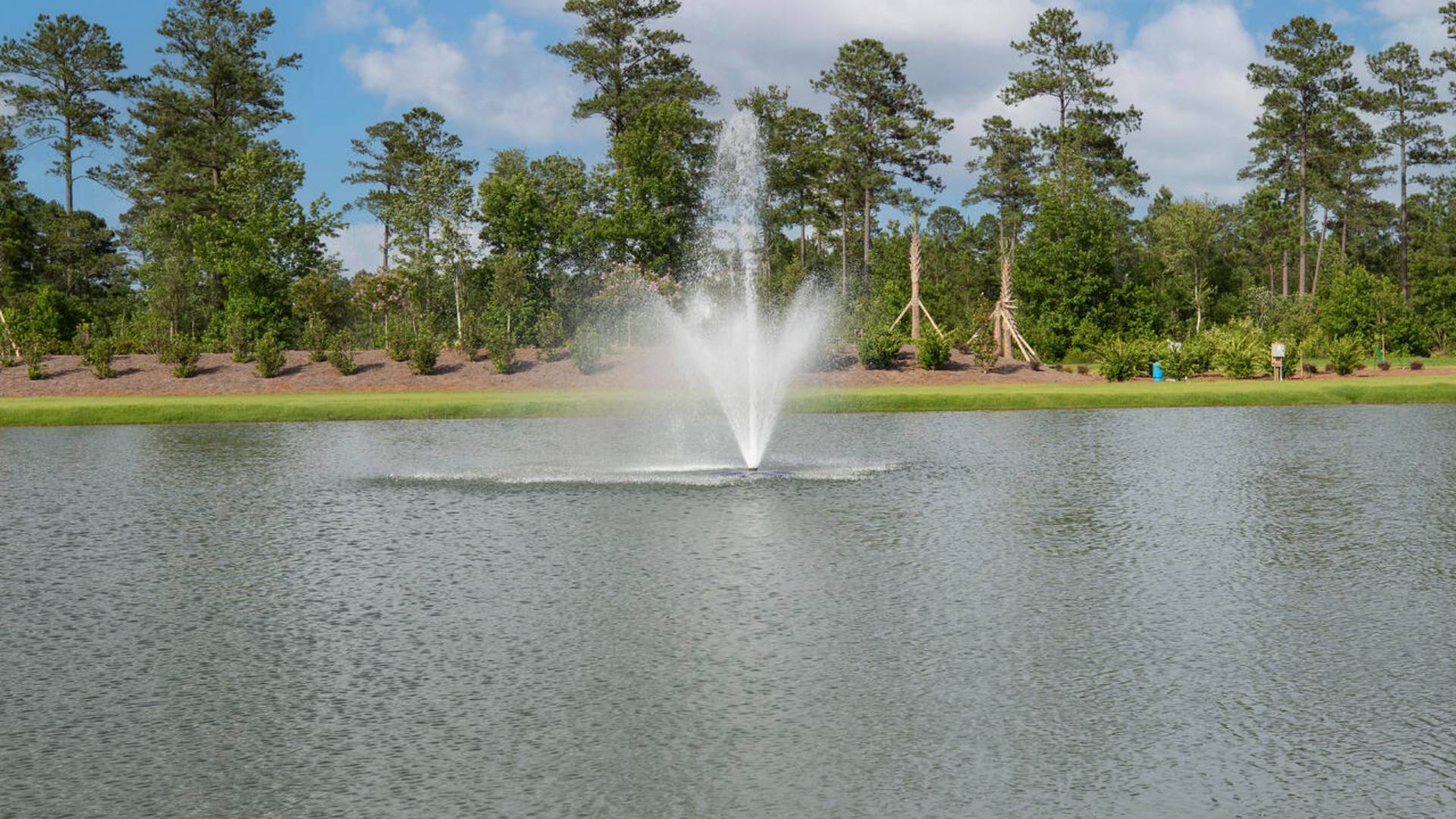 Homeowners will enjoy the future Amenity Center that will include a resort-style pool, clubhouse with kitchen, playground, pickleball courts, fire pit, and pocket park.