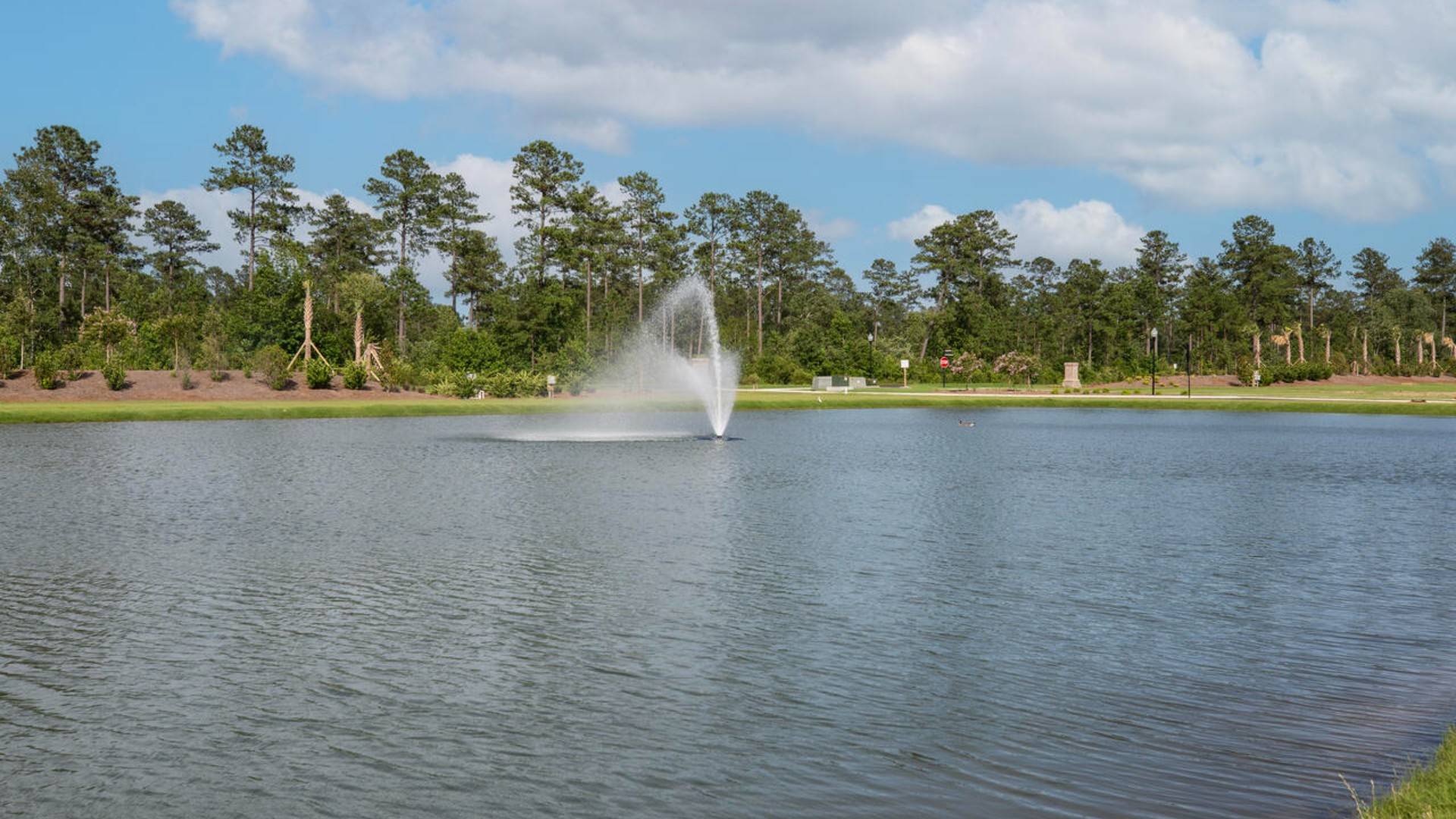 Homeowners will enjoy the future Amenity Center that will include a resort-style pool, clubhouse with kitchen, playground, pickleball courts, fire pit, and pocket park.