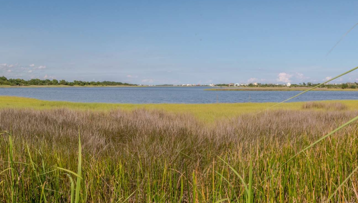 It is built within a 333-acre nature preserve, with marshlands and live oaks. Residents have access to walking trails and serene water views.