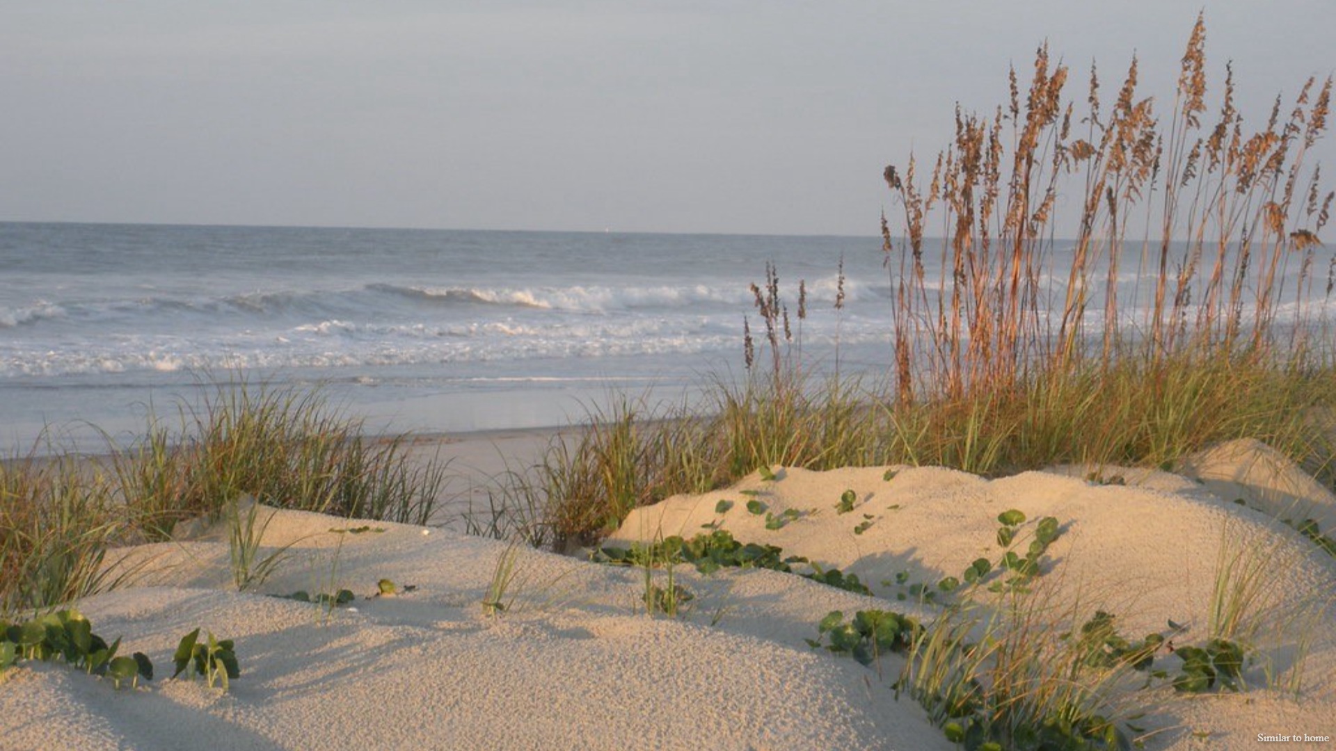Situated in the heart of South Brunswick County, this rapidly expanding area lies just south of Wilmington, drawing people who appreciate a rural small-town vibe. Renowned for its stunning beaches, the region is a haven for water sports enthusiasts. Boaters can reach Sunset Harbor Boat Ramp in just 6 minutes. Golfers have access to numerous world-class courses and resorts. Beach lovers are in for a treat with quick drives to the finest beaches in Brunswick County like Oak Island, Holden Beach, and Ocean Isle in North Carolina, as well as Cherry Grove and North Myrtle Beach in South Carolina. Nearby Southport boasts a variety of retail and dining options, both big brands and local favorites. Homeowners will enjoy community amenities that include a pool, firepit, pavilion with fitness room.