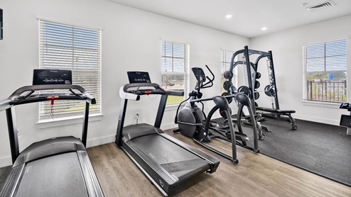 Fitness Room. Dumbbells, Free Weights, Machines. Workout.