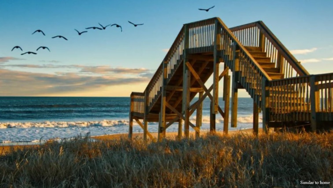 Jacksonville, NC, is special for its significant Marine Corps presence, Camp Lejeune, making it a young, military-focused city with rich military history reflected in sites alongside coastal access to the New River and Atlantic Ocean, offering outdoor recreation like kayaking, beaches, and blending military heritage with outdoor fun and Southern charm.