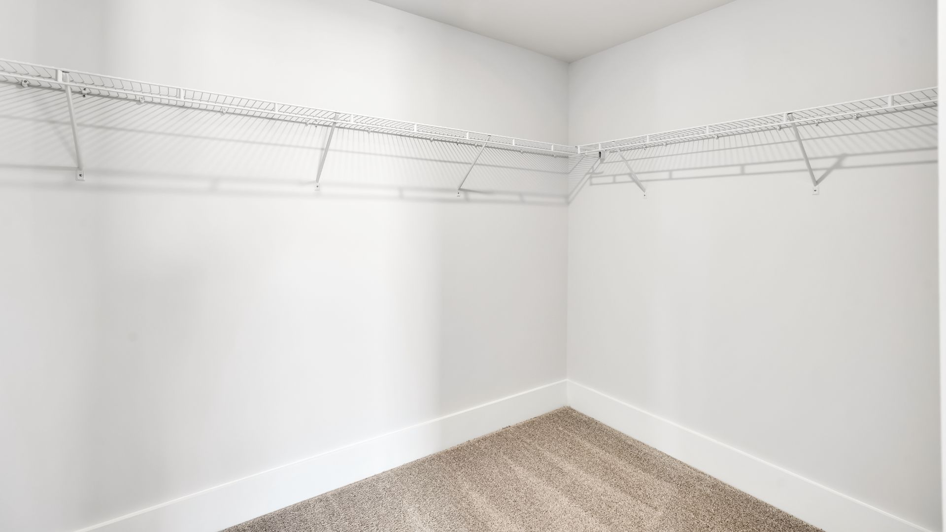 The primary bedroom has its own attached bathroom that features a walk-in closet and all the space you need to get ready in the morning.