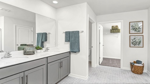 Primary bathroom with double sinks and gray cabinetry.