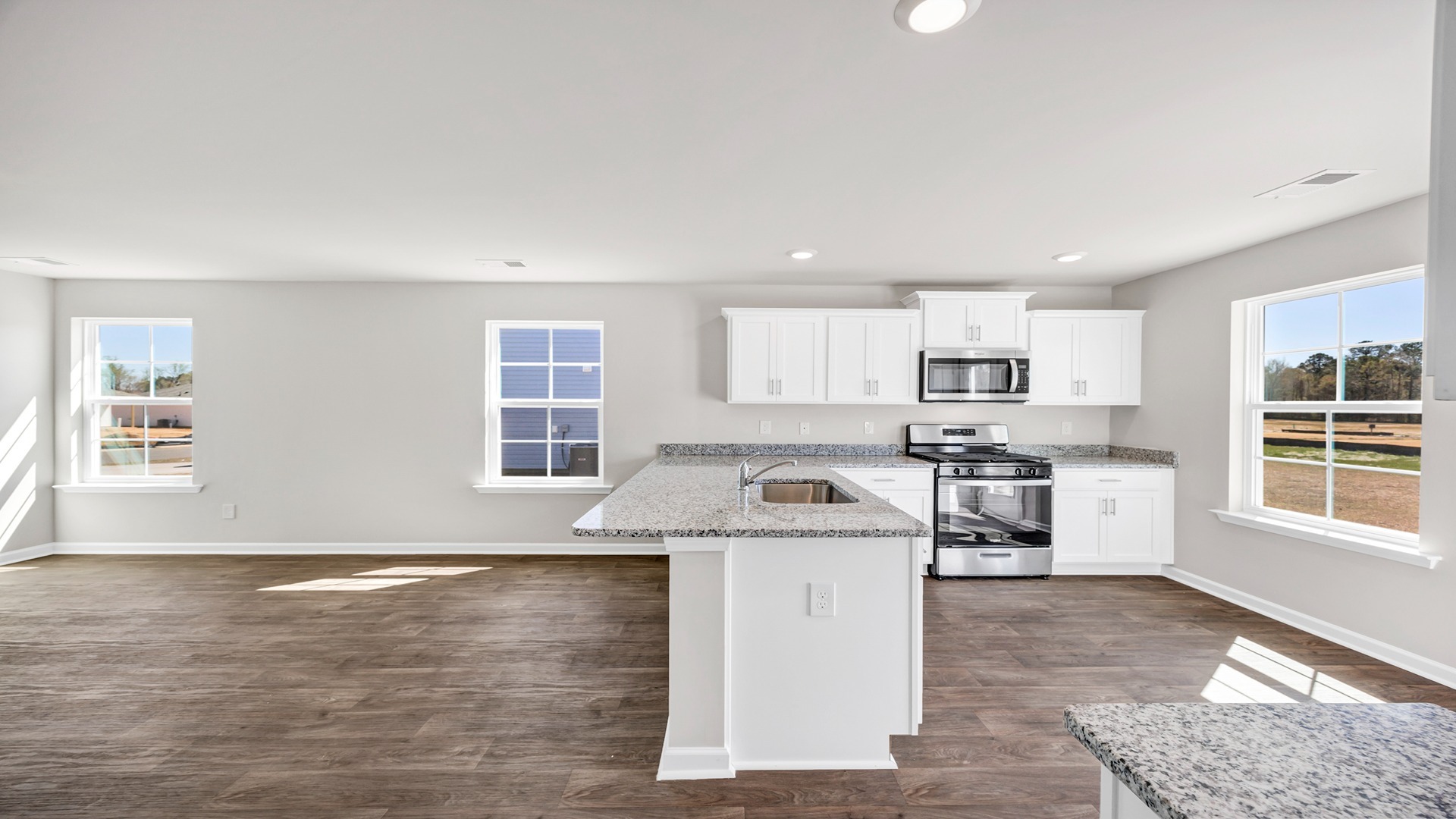 Vinyl flooring finishes main living areas