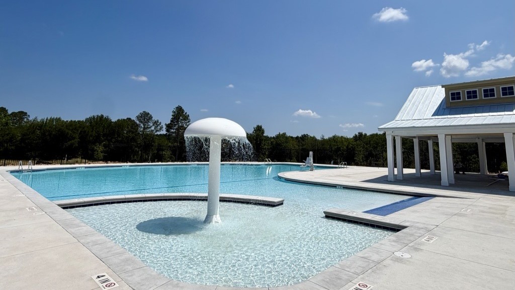 Pool, cabana, and playground amenity rendering for Ferry Grove.