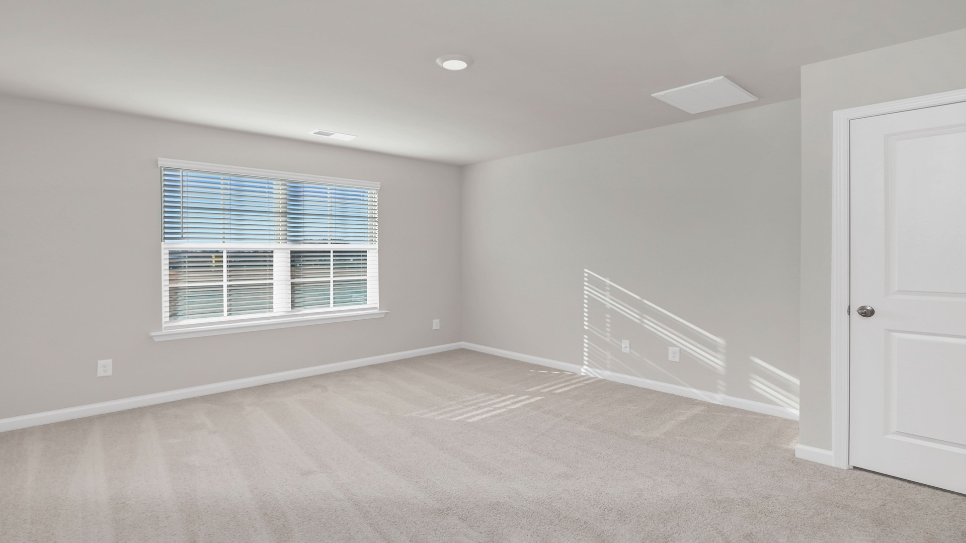 Primary bedroom downstairs with carpet flooring and a large window for natural light