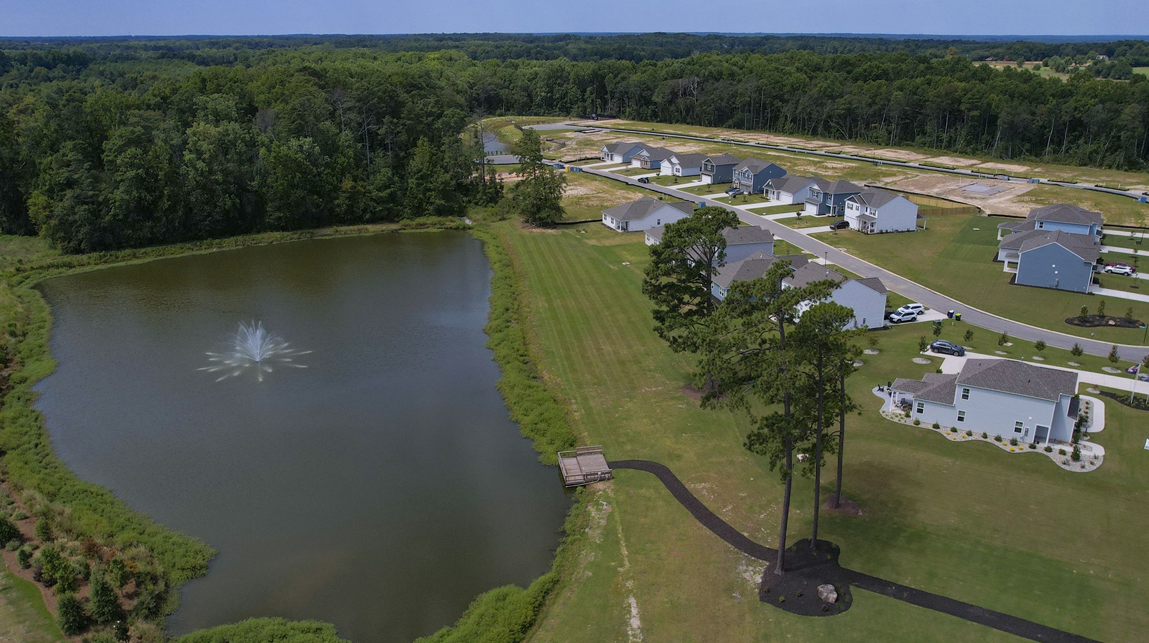 Drone photo of Sease's Pond community and pond amenity in Gilbert, SC