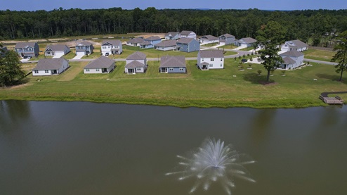 Some homes have pond access and view right from their back patios