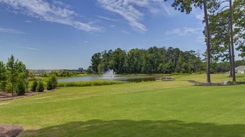 Pretty green space around the pond