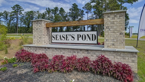 Sease's Pond monument with landscaping
