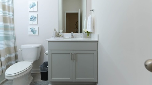Conway Bathroom 2 with Gray Cabinets