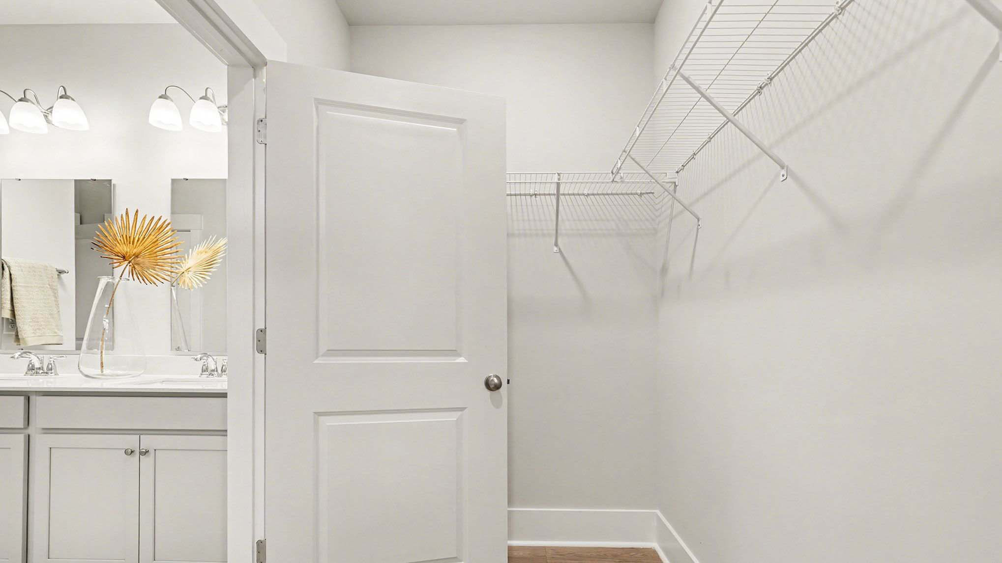 Spacious walk-in primary closet in home for sale in Chapin near Lake Murray