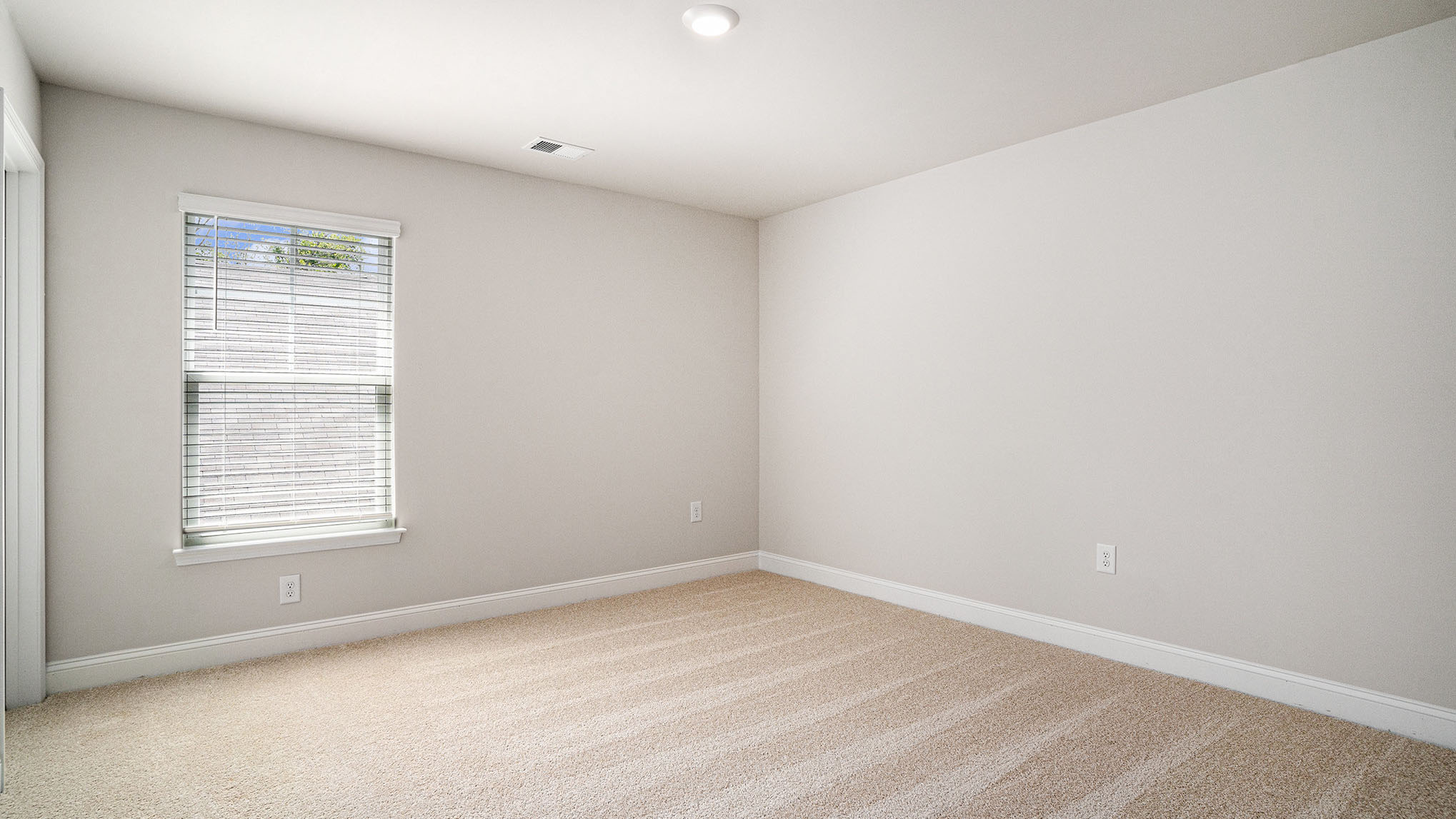 Bedroom 5 with a window for light and carpet flooring