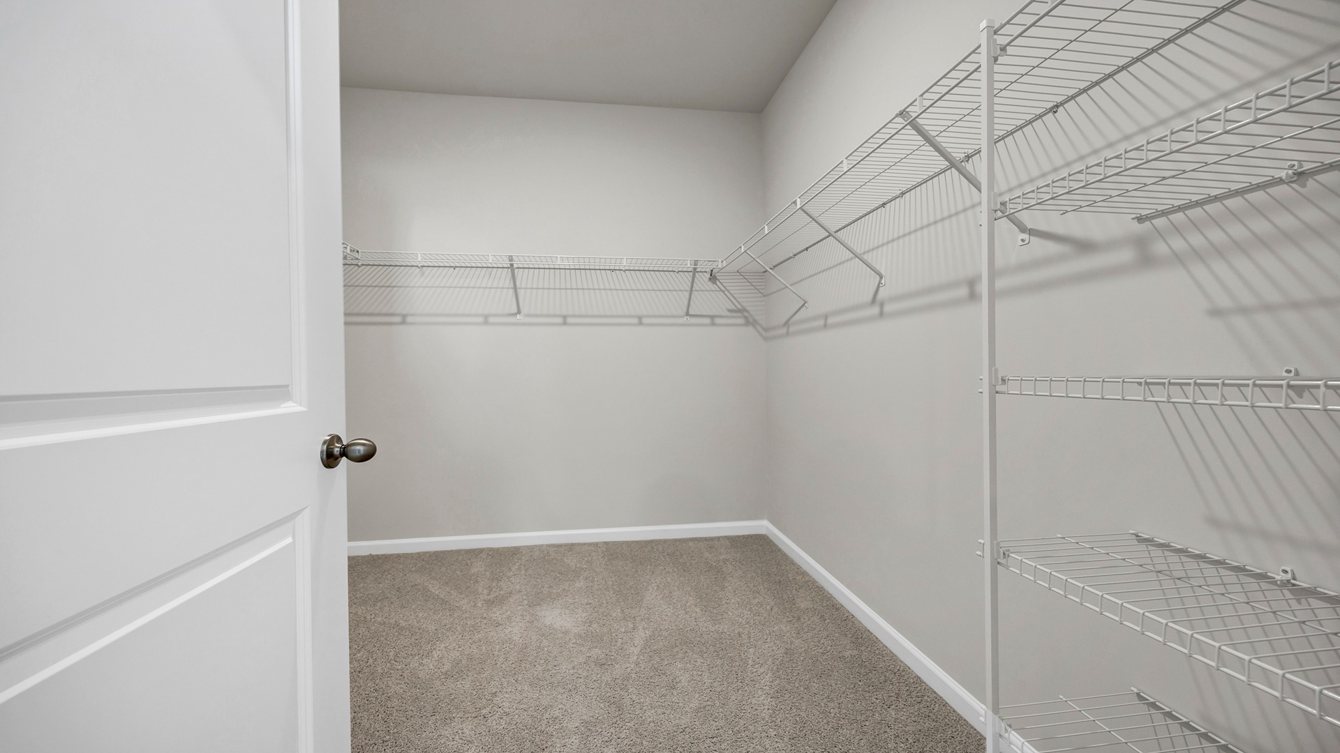 Walk-in primary closet with carpet flooring