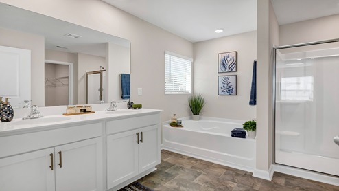 Cali Primary Bathroom with white cabinets