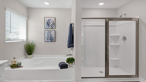 Primary standup shower and bathtub (seperate)