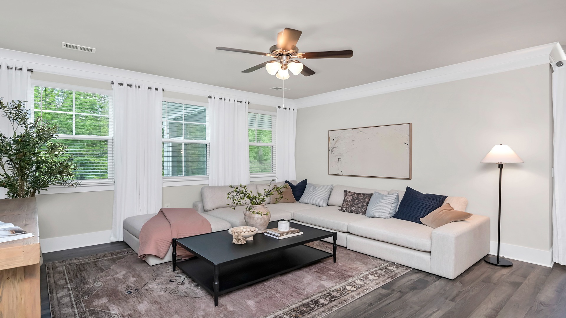 Natural light in spacious living area