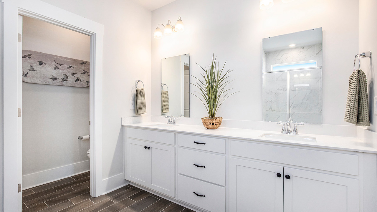 Double primary vanity and seperate water closet