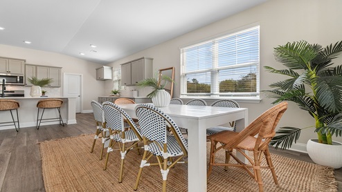 Open concept dining and living areas