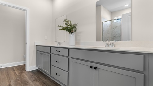 The primary bathroom with a double vanity and a walk-in closet